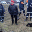 Троицко-Печорские спасатели достали из-под плиты теплотрассы новорожденных щенят - ИА Комиинформ
