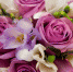 Holidays___International_Womens_Day_Purple_roses_in_a_bouquet_for_women_on_March_8_055846_10 - Детская поликлиника №2