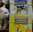 В Маршаковке День эколога отметили лимонадно-книжным квестом! - Министерство культуры