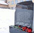 Председатель Госсовета высоко оценила развитие патриотизма в Вуктыле - Государственный совет Республики Коми