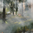 В двух районах Коми объявили чрезвычайно высокую пожароопасность - proGorod11.Ru