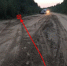 В Удорском районе двое детей получили травмы после съезда машины в кювет - Bnkomi.Ru