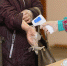 В Коми коронавирусом болеют 3,4 тысячи человек - Bnkomi.Ru