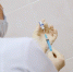Как психолог из Коми испытала на себе вакцину против коронавируса - Bnkomi.Ru