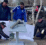 В Сыктывкаре обновили «болт, положенный на санкции» - Syktyvkar.1istochnik.Ru