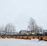 Школы Коми получили еще 20 автобусов - Bnkomi.Ru