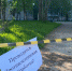 17 мая в Эжве пройдёт противоклещевая обработка общественных территорий - Эжвинский район