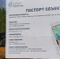В Сыктывкаре появится новый сквер - Газета Республика
