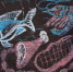 Наличие компонентов ГМО нашли в мясе в Коми - KomiOnline.Ru
