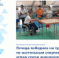 Печора победила на турнире  по настольным спортивным играм среди инвалидов - Министерство физкультуры и спорта