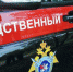 Многодетный отец утонул в яме с семечками - proGorod11.Ru