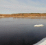 В Коми ожидаемый уровень весеннего половодья не превысит критических отметок - ИА Комиинформ