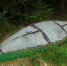 Устьвымец запутался в сетях и погиб - KomiOnline.Ru