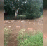 В Коми мощный ливень едва не смыл детский сад: вода затопила огороды и дровяники местных жителей - proGorod11.Ru