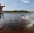 В Сыктывкаре открыли городской пляж - Bnkomi.Ru