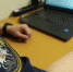Ухтинского пристава заподозрили в халатности - KomiOnline.Ru
