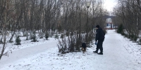 Сотрудники ОМОН «Арктика» обследовали места проведения «Заполярных игр» - Росгвардия