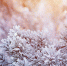 Первоисточник - Syktyvkar.1istochnik.Ru