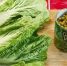«Сметете» всю пекинку на прилавках: вкусный и сытный салат на скорую руку — 10 минут, и он на столе - Pg11.Ru