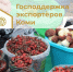 Экспортеры Коми рассматривают выход на рынки Китая и Турции - Министерство сельского хозяйства