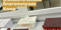 Ветеринары Коми проведут мониторинг по 15 опасным заболеваниям животных - Министерство сельского хозяйства