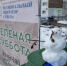 Более 300 ухтинцев приняли участие в экоакции «Зеленая суббота» Регоператора Севера - KomiOnline.Ru
