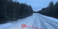 Водитель бросил двух травмированных пассажиров на трассе в Сыктывдинском районе - Bnkomi.Ru