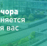 Печора запустила розыгрыш билетов в кино для участников голосования по благоустройству - ИА Комиинформ