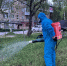 В Эжве от клещей обработали 15 общественных территорий - ИА Комиинформ