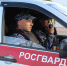 В селе Объячево росгвардейцы усмирили буйного пациента - Росгвардия