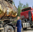 Главная картинка новости: Прокуратура Коми взяла под контроль разлив нефти после аварии автоцистерны - Новости Коми