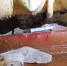 5222-800x600.jpg - ИА Комиинформ