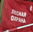 Высокая пожароопасность установится в двух районах Коми - KomiOnline.Ru