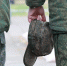 Военный прокурор Воркутинского гарнизона разъяснил, как получить справку об участии в специальной военной операции - ИА Комиинформ