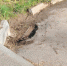 Реагируем на сигналы граждан - наводим порядок в районе - Эжвинский район