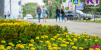 Погода в Коми 10 августа: тепло, преимущественно без осадков - ИА Комиинформ