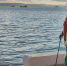 Поехали на Азовское море: гостевой дом, который нас разочаровал - реальный отзыв туриста - Pg11.Ru