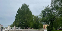 В Коми 20 августа ожидаются дожди - Pg11.Ru