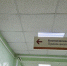 В Республику Коми завезли современные вакцины от гриппа - Pg11.Ru