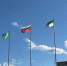 Вопросы приняты к рассмотрению: врио Главы Коми Ростислав Гольдштейн дал поручения по итогам первого дня сбора вопросов - Pg11.Ru