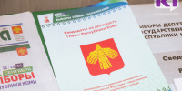 Ростислав Гольдштейн лидирует в голосовании на пост главы Коми - ИА Комиинформ