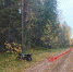 фото ГИБДД Коми - Syktyvkar.1istochnik.Ru