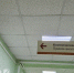 В 2025 году в Республике Коми заболеваемость энтеровирусной инфекцией выросла в 2,5 раза - Pg11.Ru