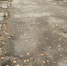 img - ЛДПР