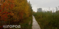 Дождь со снегом ожидается в Коми 16 октября - Pg11.Ru