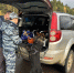 В ФСБ рассказали, сколько незаконного оружия и боеприпасов выявили на дорогах Коми за неделю - ИА Комиинформ