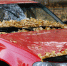 Коми остается на теплой стороне обширного циклона - Bnkomi.Ru