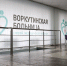 В Воркуте медики спасли женщину после сосудистой катастрофы - Bnkomi.Ru