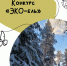 В нацпарке "Койгородский" стартует региональный конкурс поделок "ЭКО-ель" - ИА Комиинформ