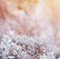 Первоисточник - Syktyvkar.1istochnik.Ru